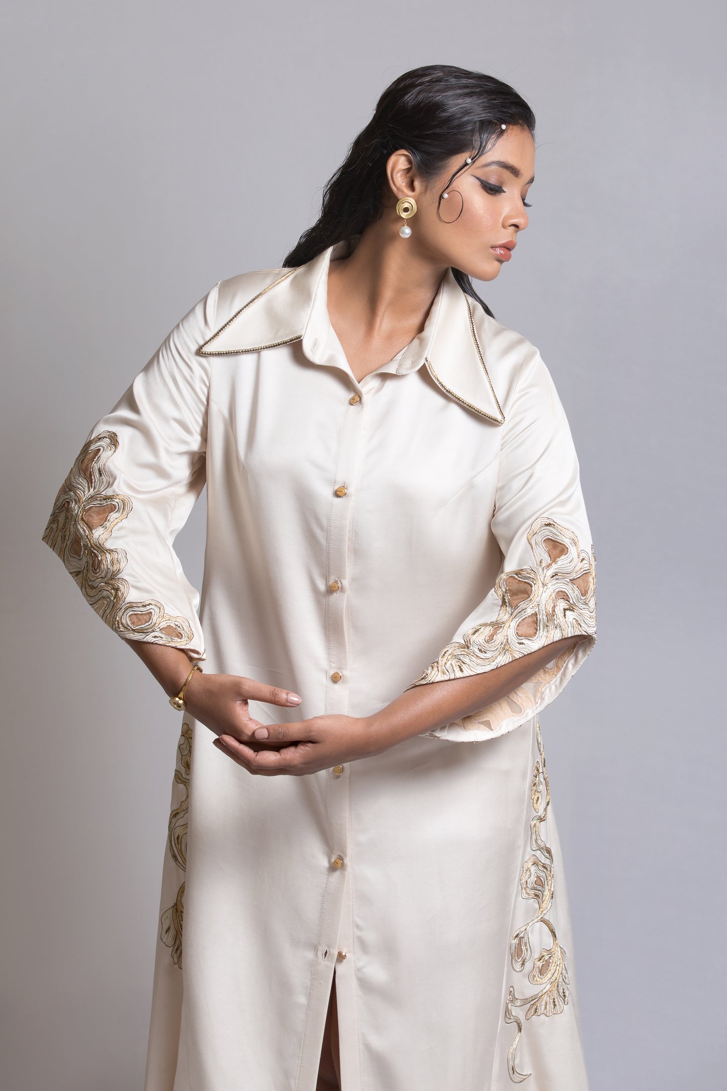 Crawl Motif Embroidered Trapeze Dress