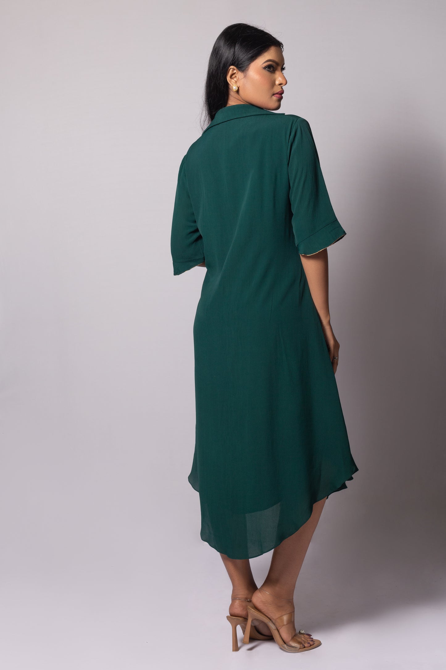 Peacock Collar Dress
